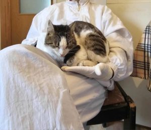 Messenger_creation_44CB7F32-87B4-4F66-85E5-E5809C7B12AC