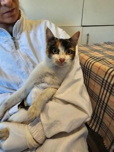 Messenger_creation_777FF51F-024C-4FF1-A943-F963C2CFB48E