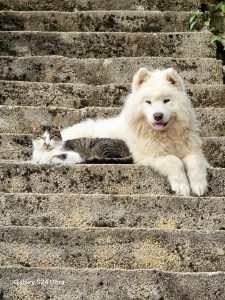 Messenger_creation_CEC763BA-D668-4E0D-B198-68AB8163A1FE